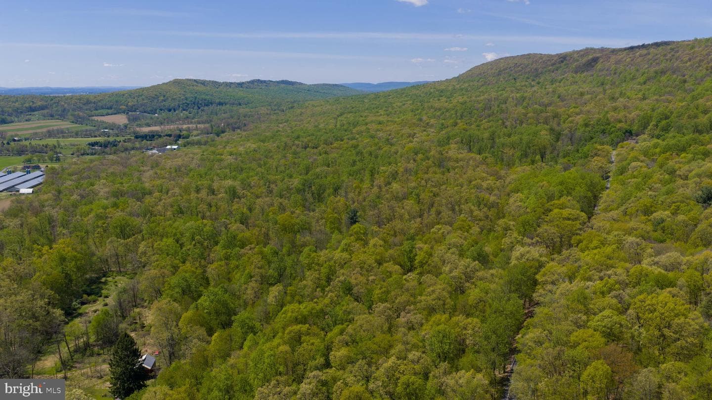 3278 Camp Swatara Road photo 13