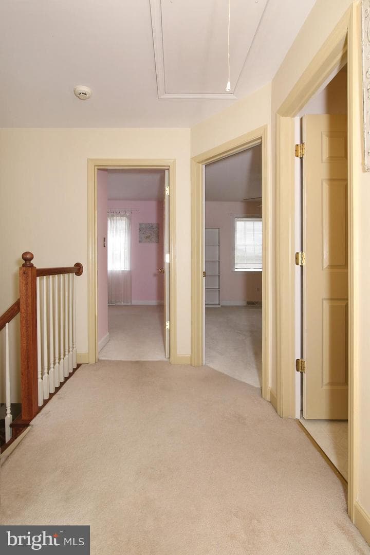 411 Omicron Place photo 26