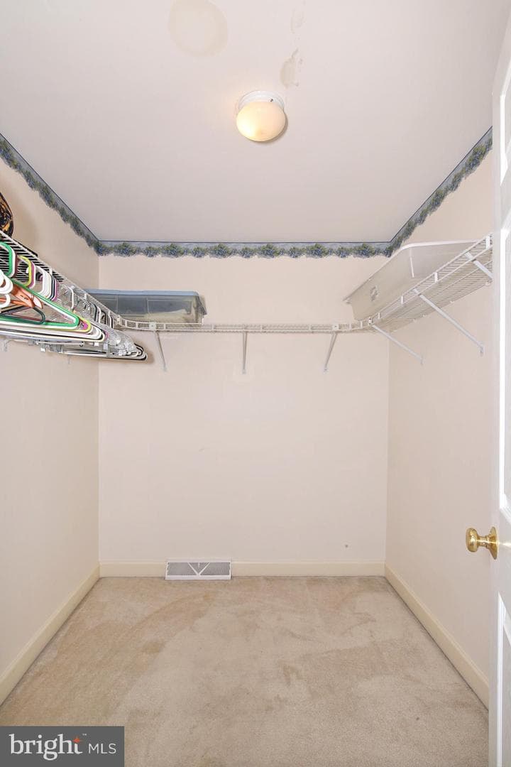 411 Omicron Place photo 29