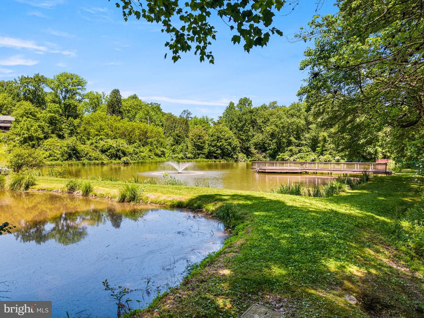 59 Hopewell Road photo 44