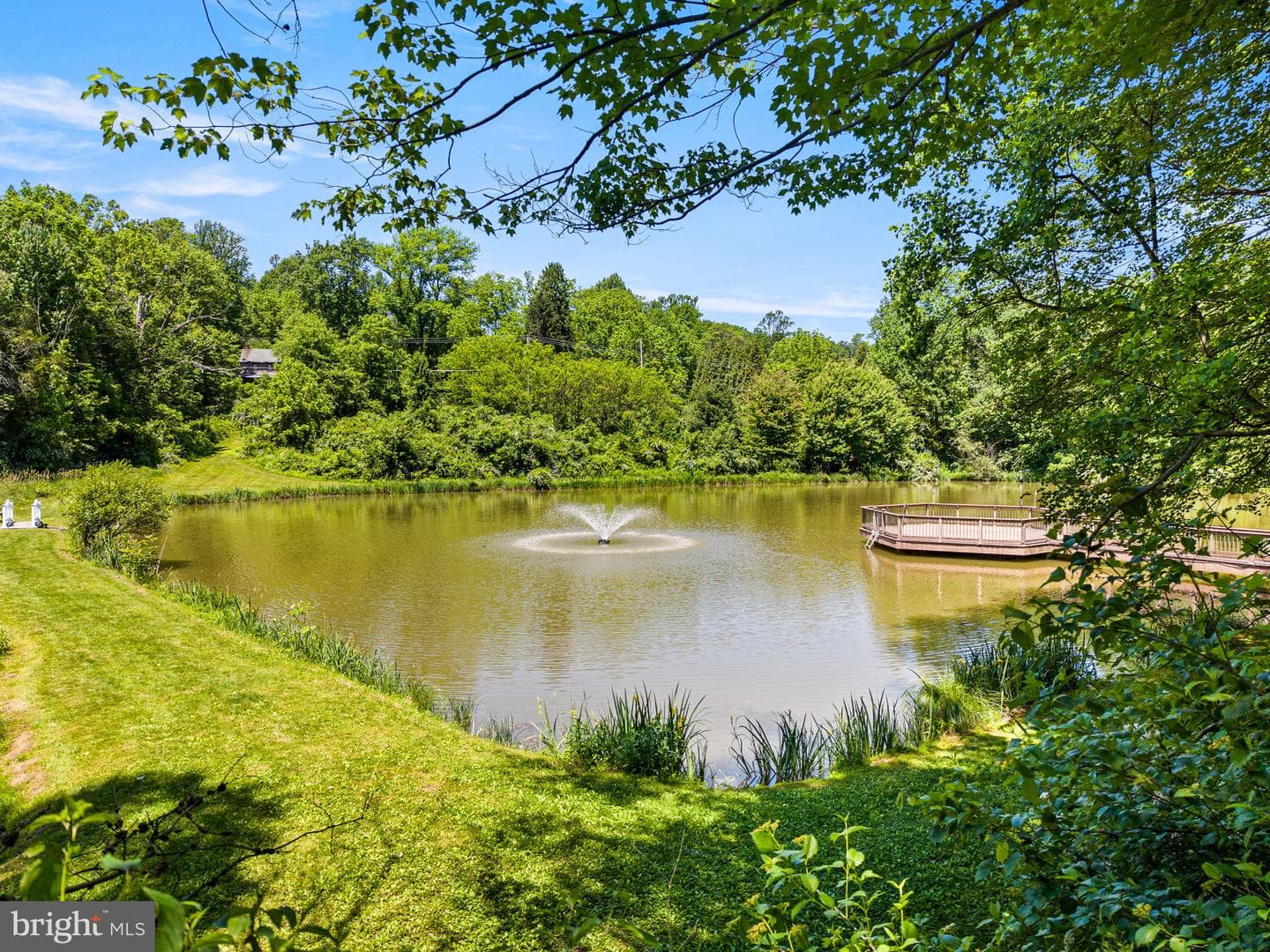 59 Hopewell Road photo 45