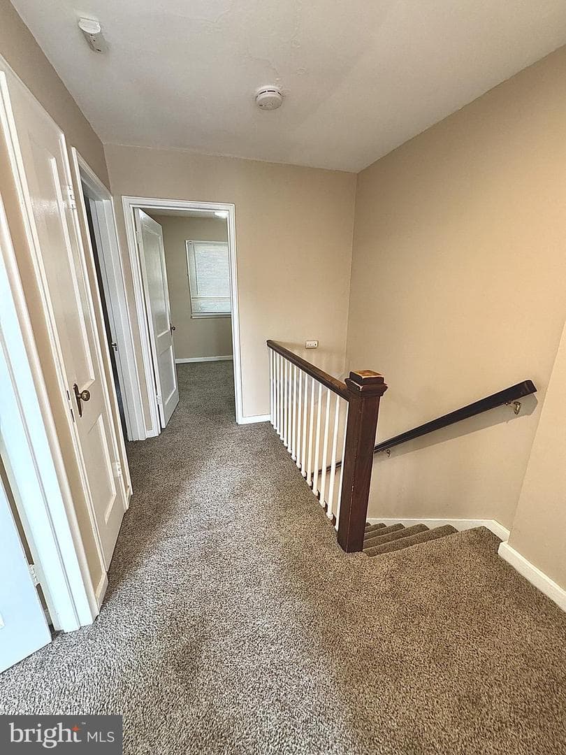 323 Linden Lane photo 16