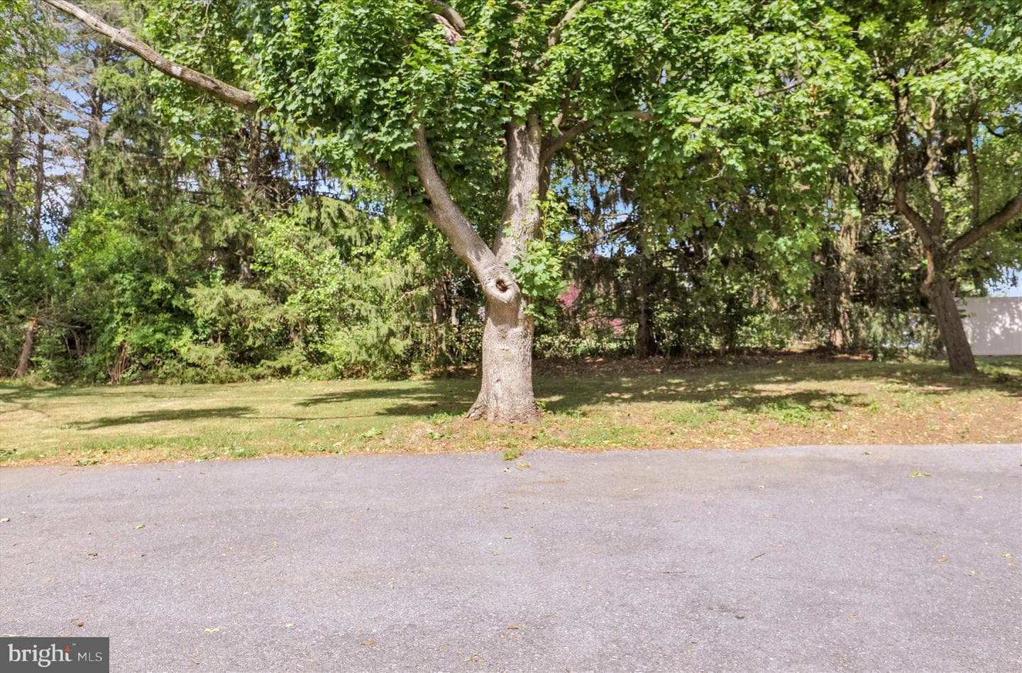 1539 Fairview Drive photo 40