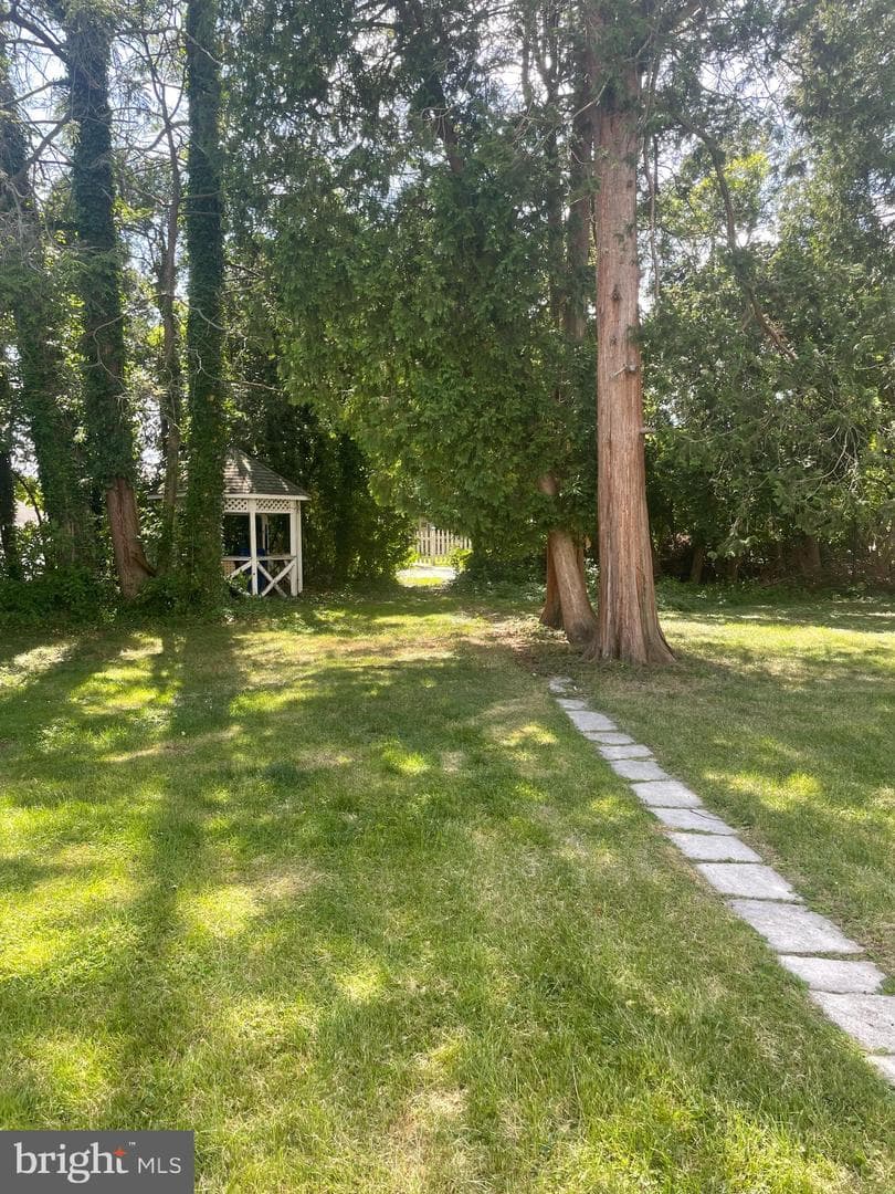 12 Intervilla Avenue photo 37