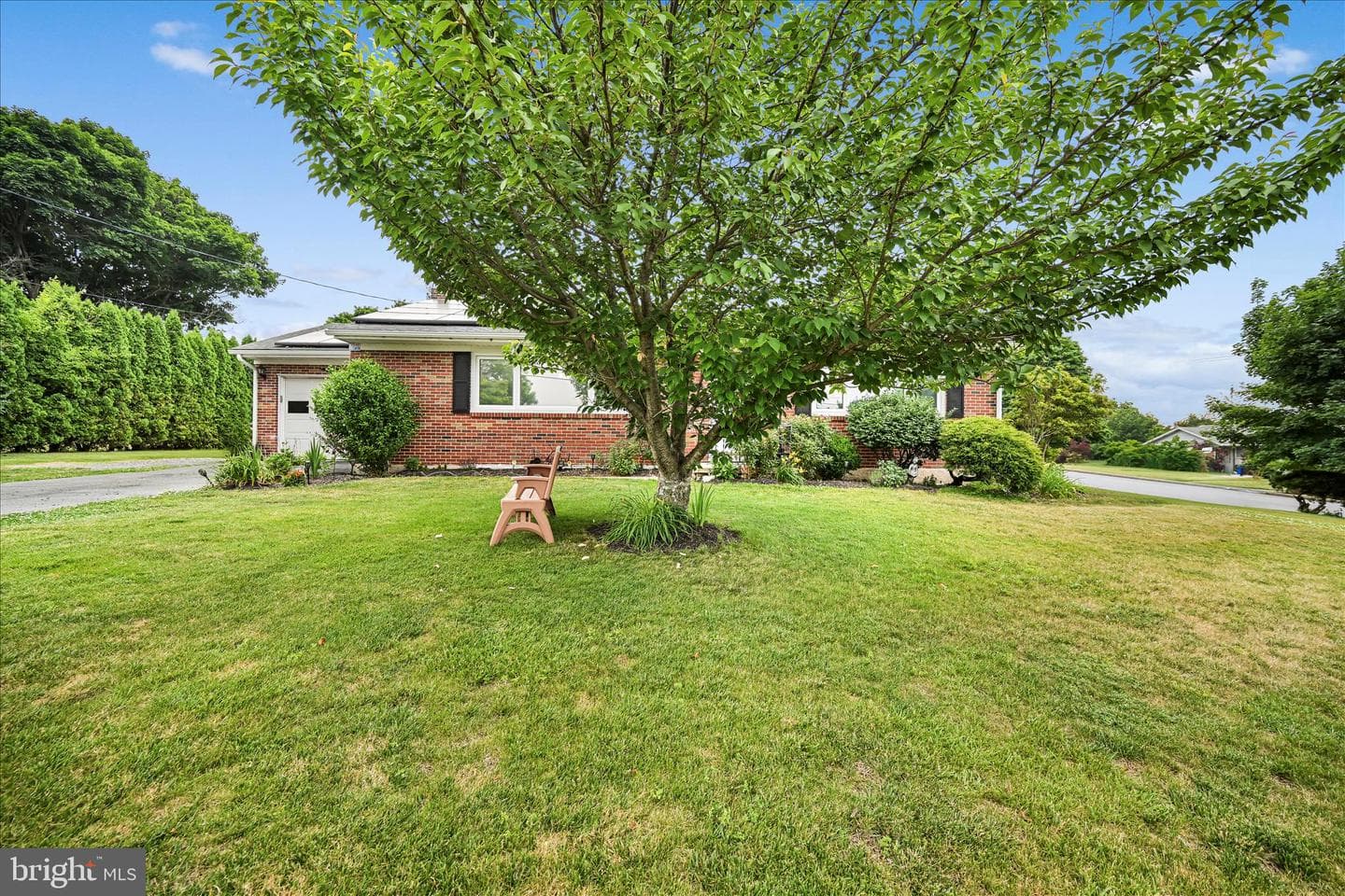 593 Mull Avenue photo 3