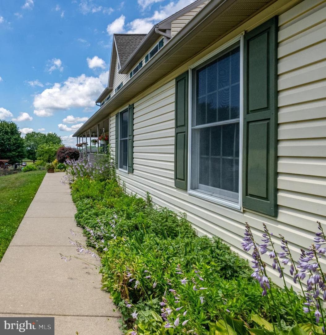 19 Sokol Drive photo 3