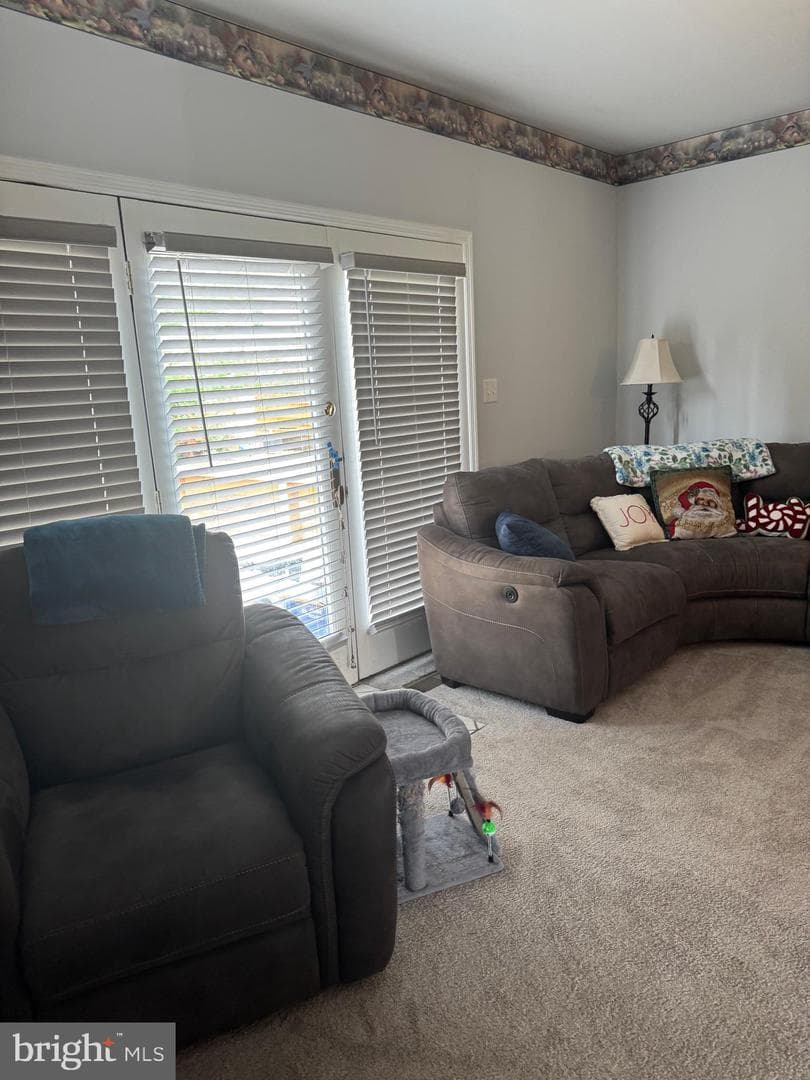 57 Winchester Court photo 18