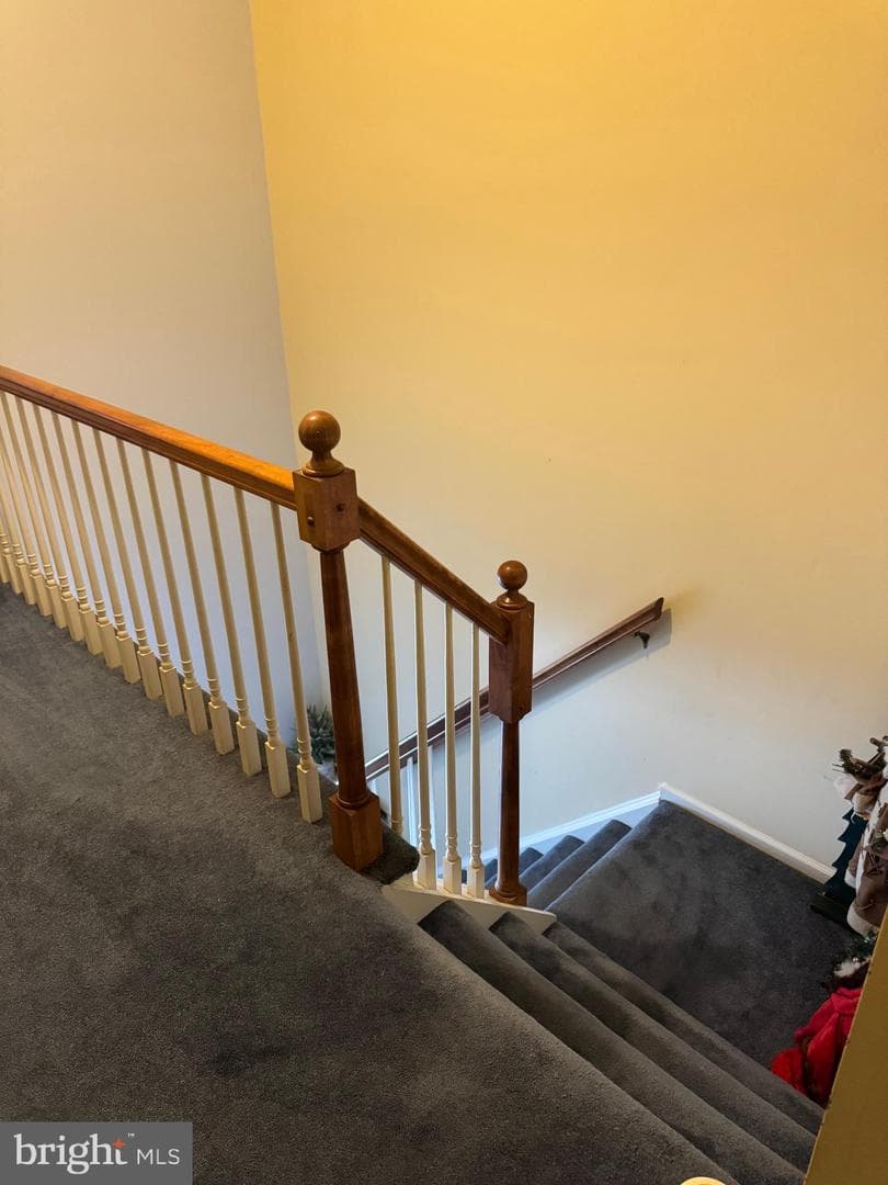 57 Winchester Court photo 32
