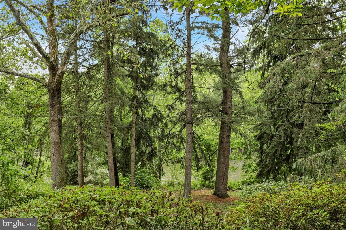 3421 River Road photo 4
