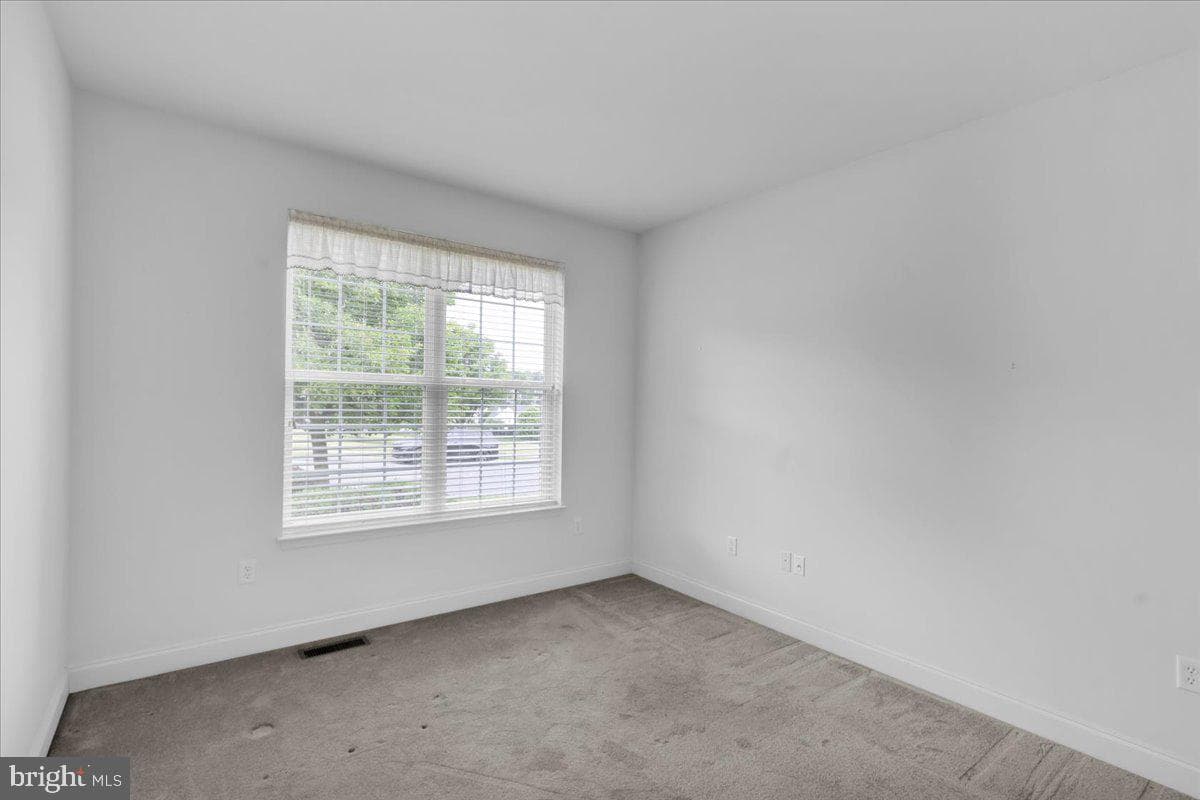 52 Harry Avenue photo 21