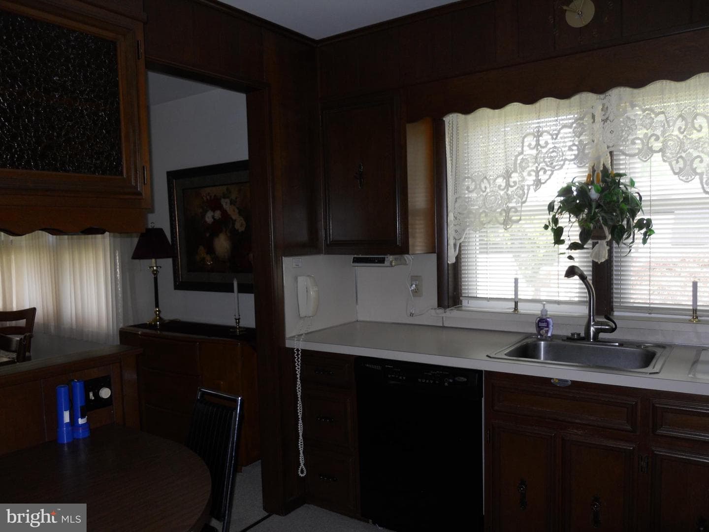 223 Mayer Street photo 10