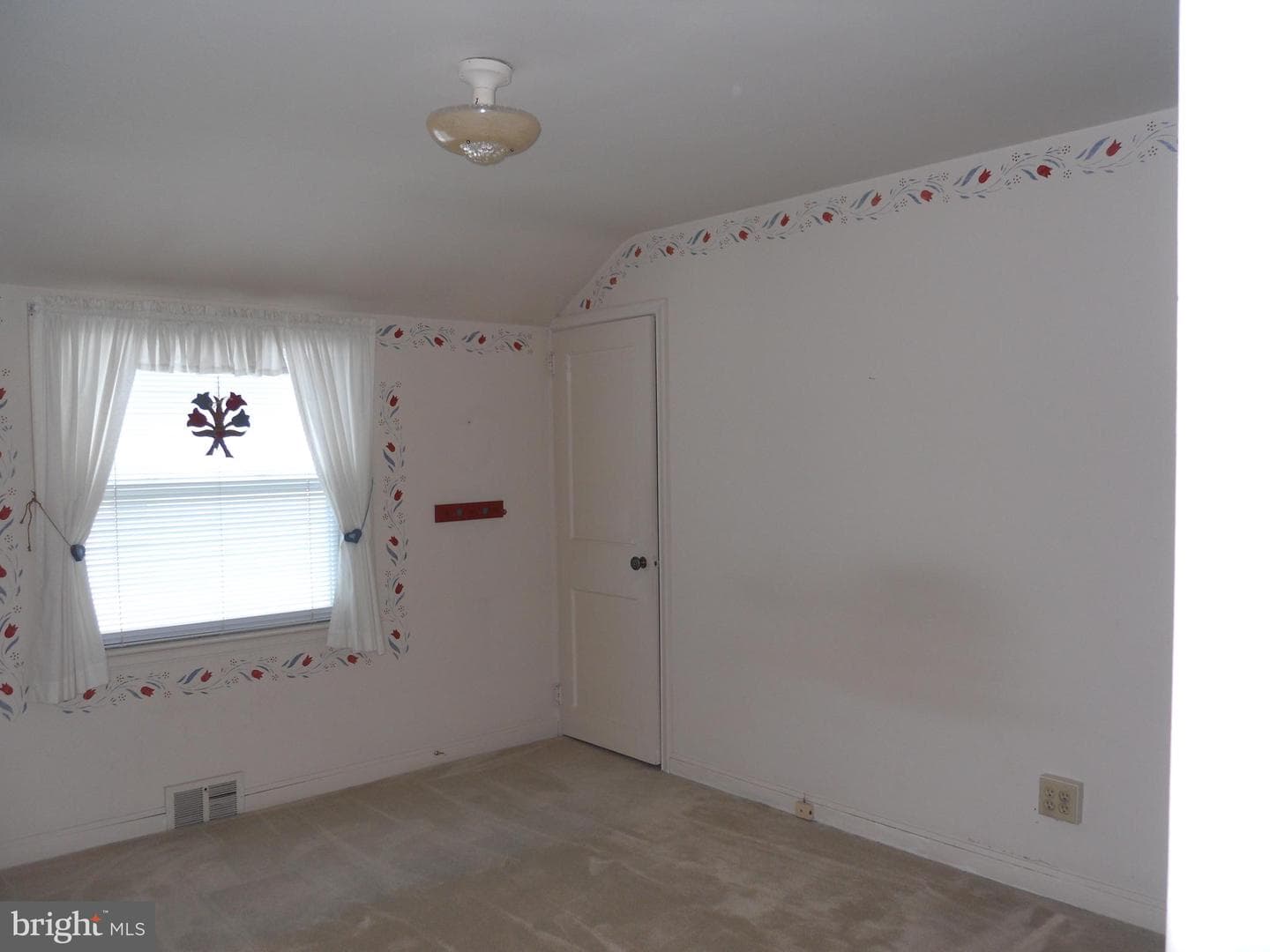 223 Mayer Street photo 20