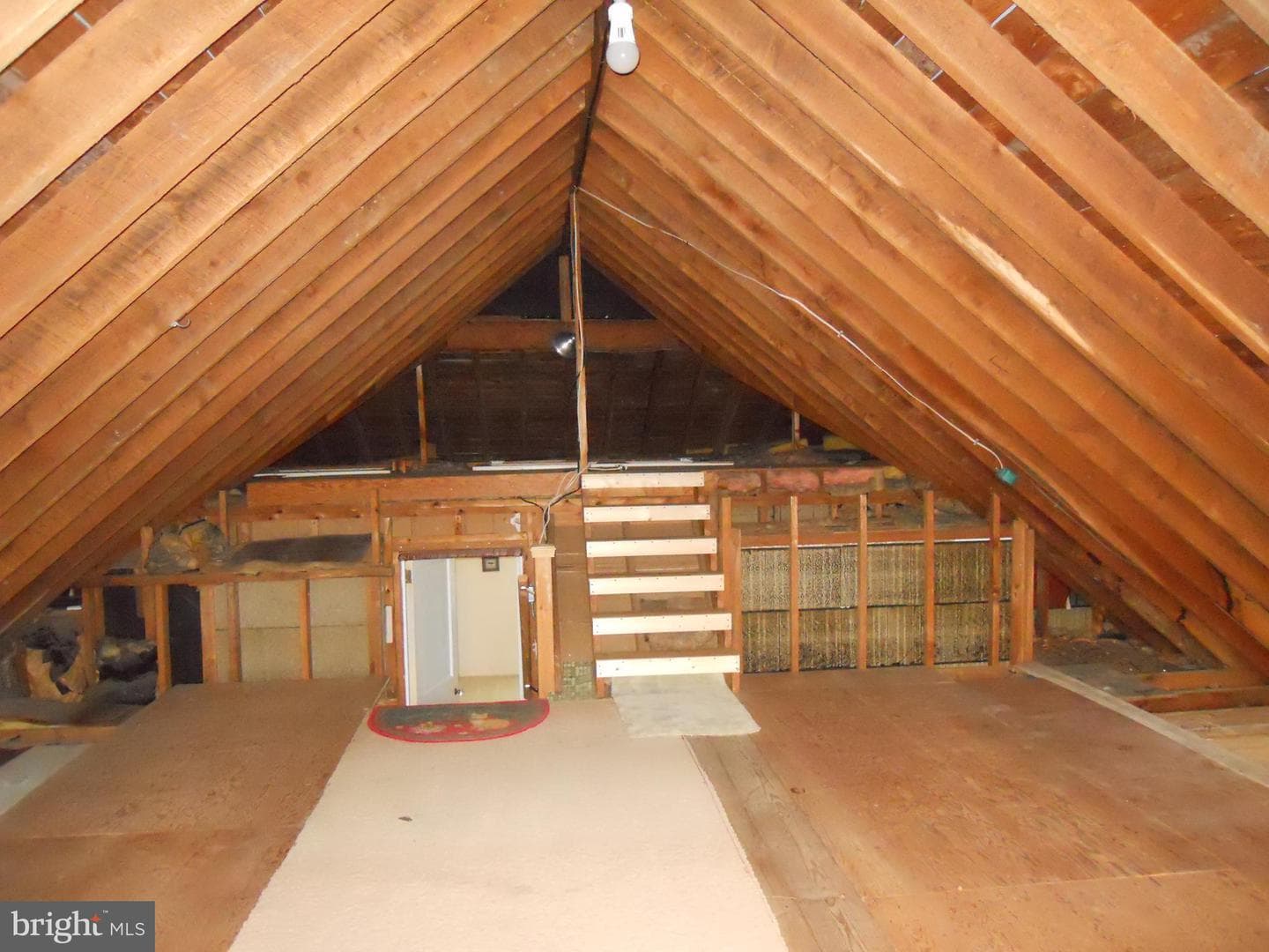 223 Mayer Street photo 25