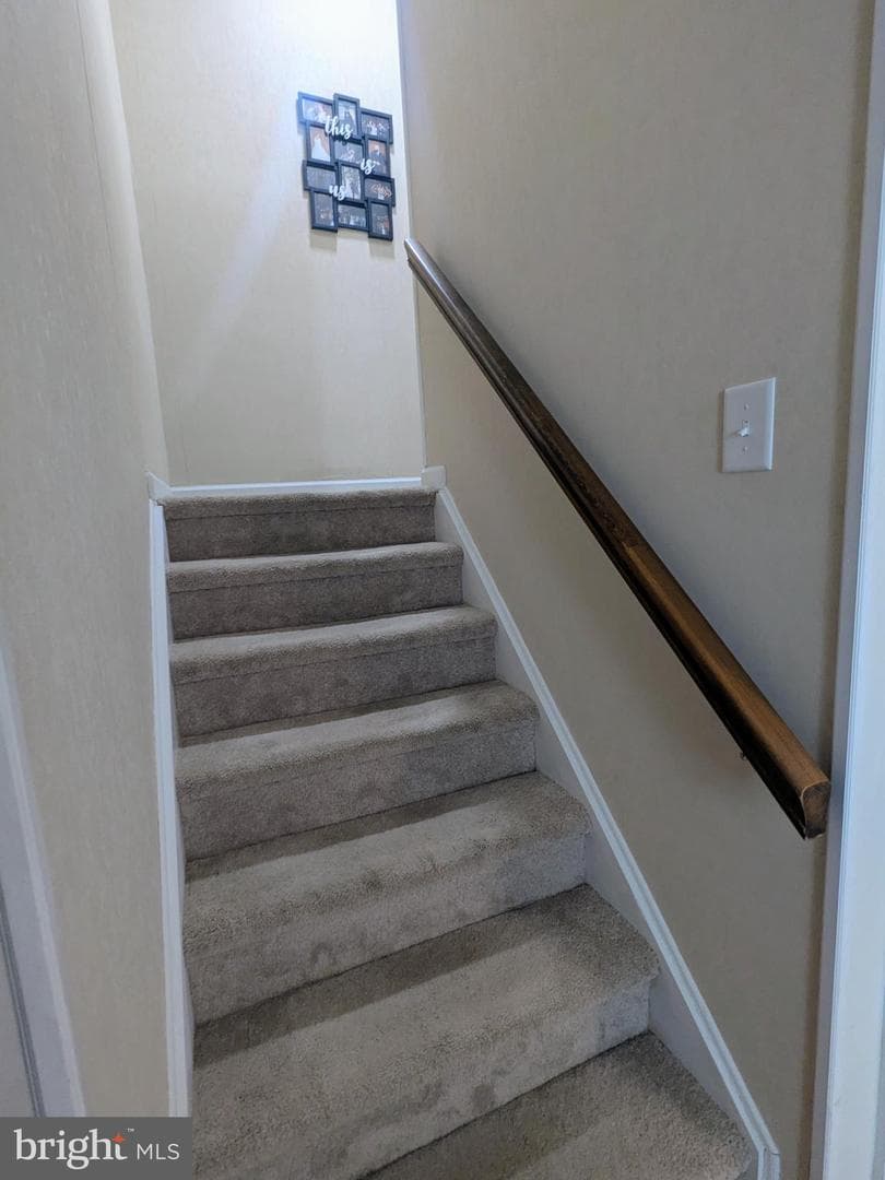 202 Adams Drive photo 14