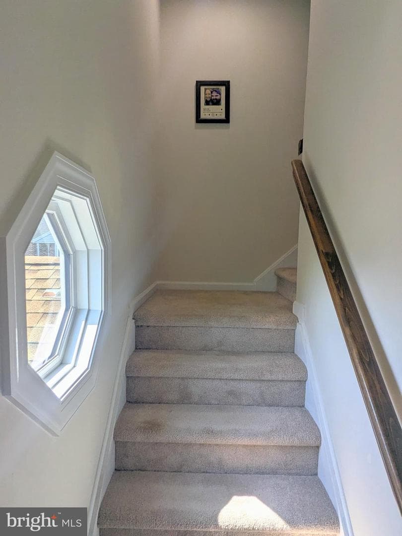 202 Adams Drive photo 18