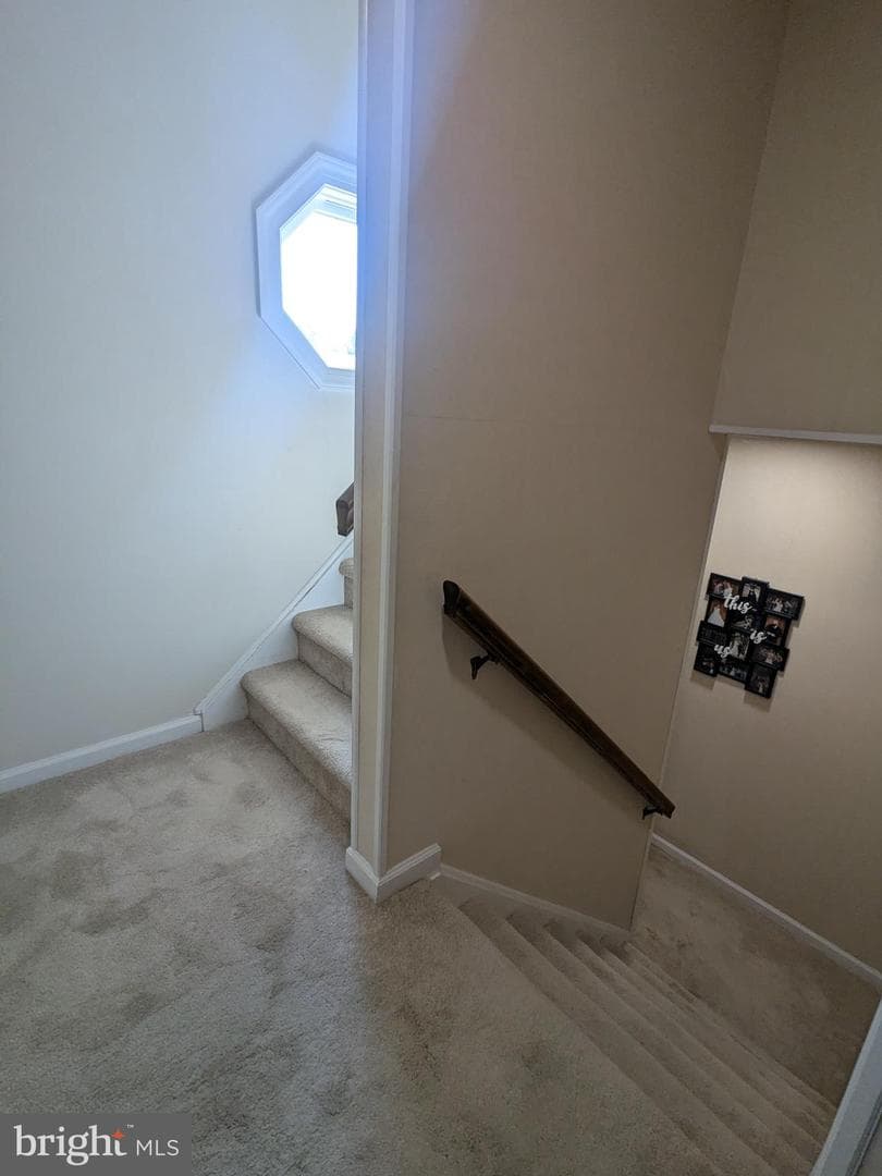 202 Adams Drive photo 19