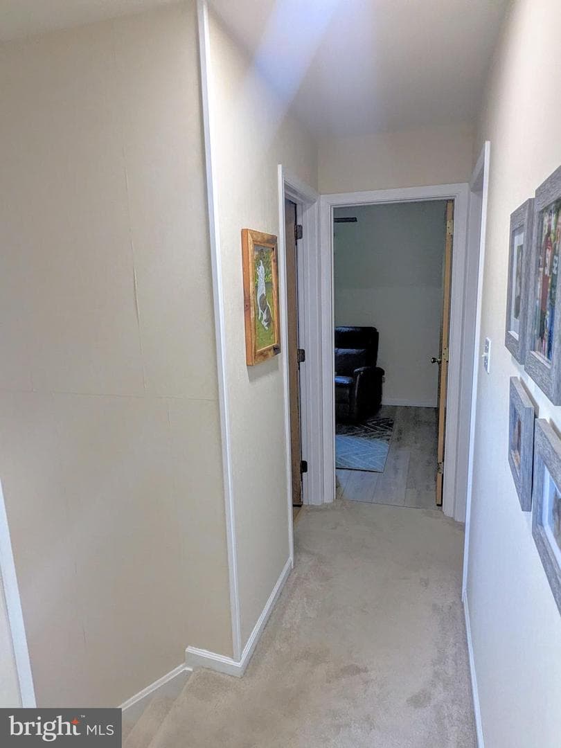 202 Adams Drive photo 20