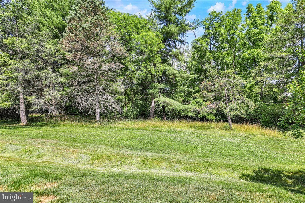 3 Ashfield Court photo 20