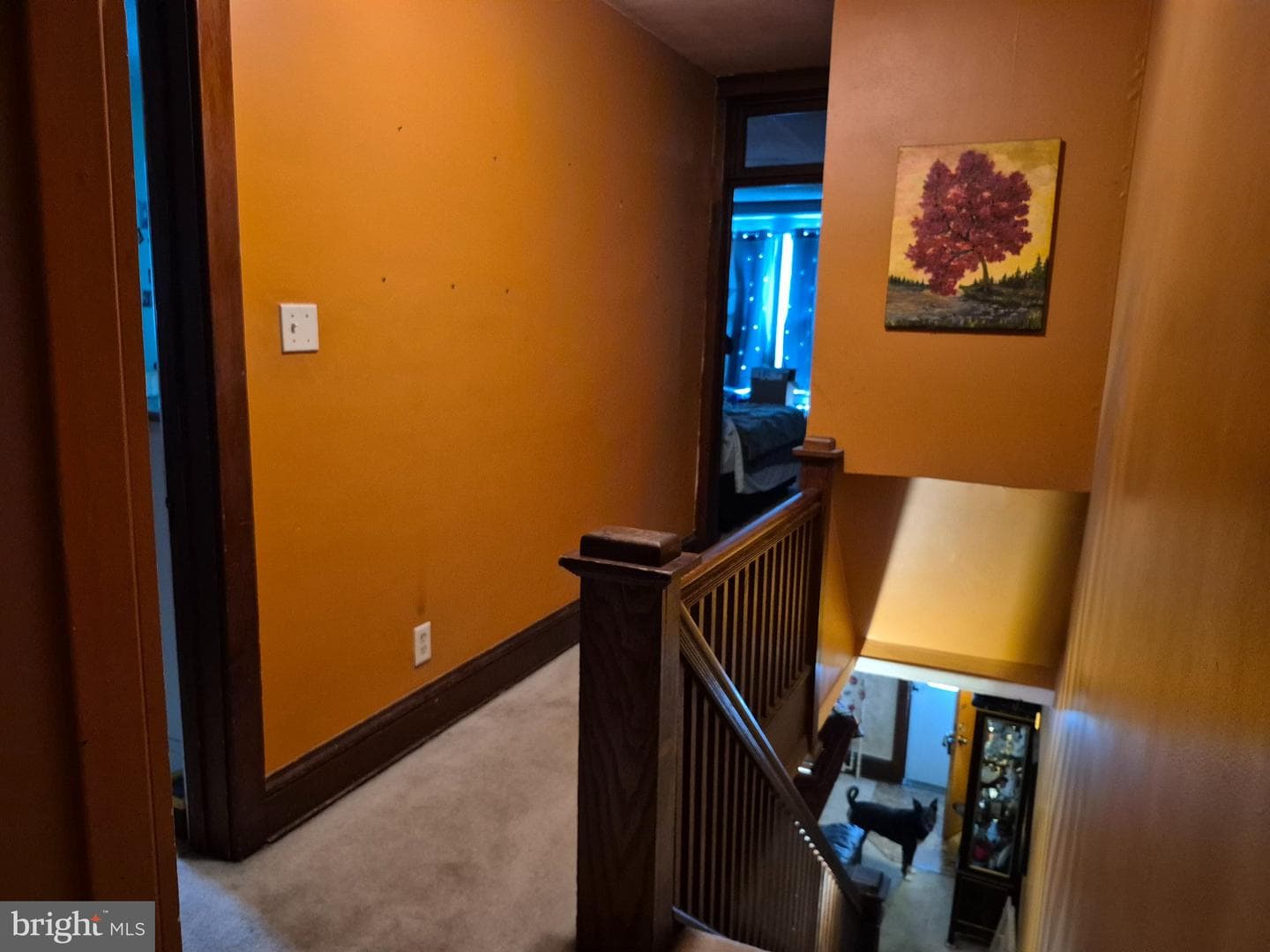 300 E Walnut Street photo 12