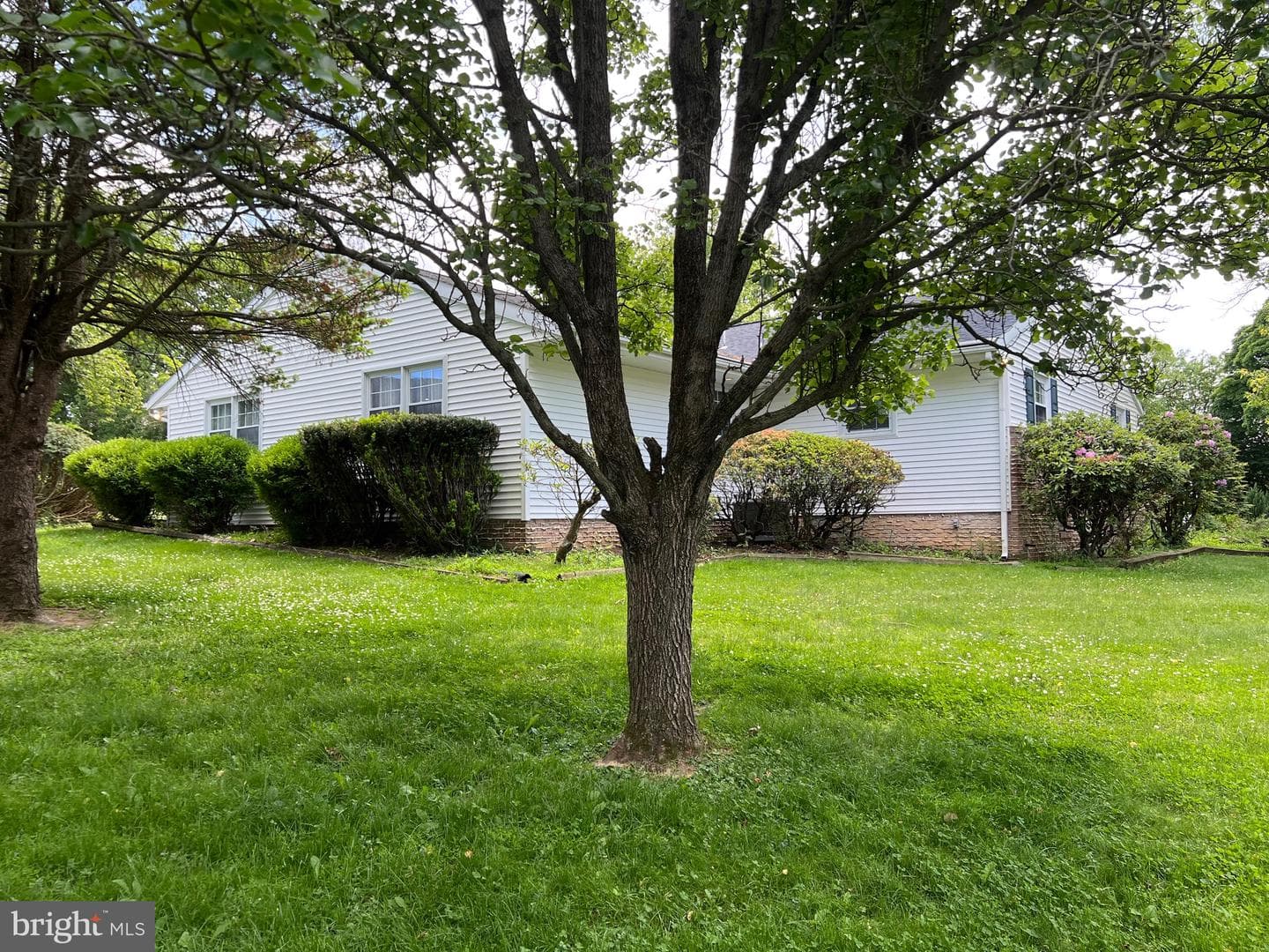 16 Wendy Road photo 11