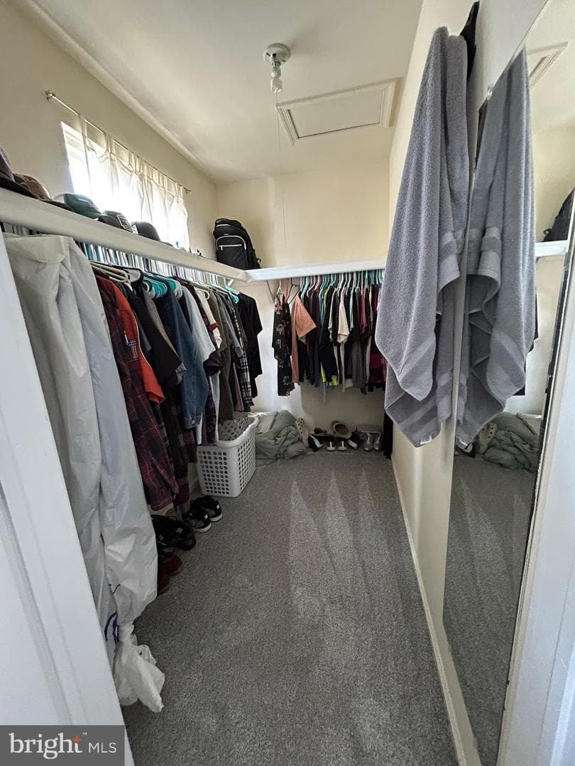 21 Matthew Drive photo 23