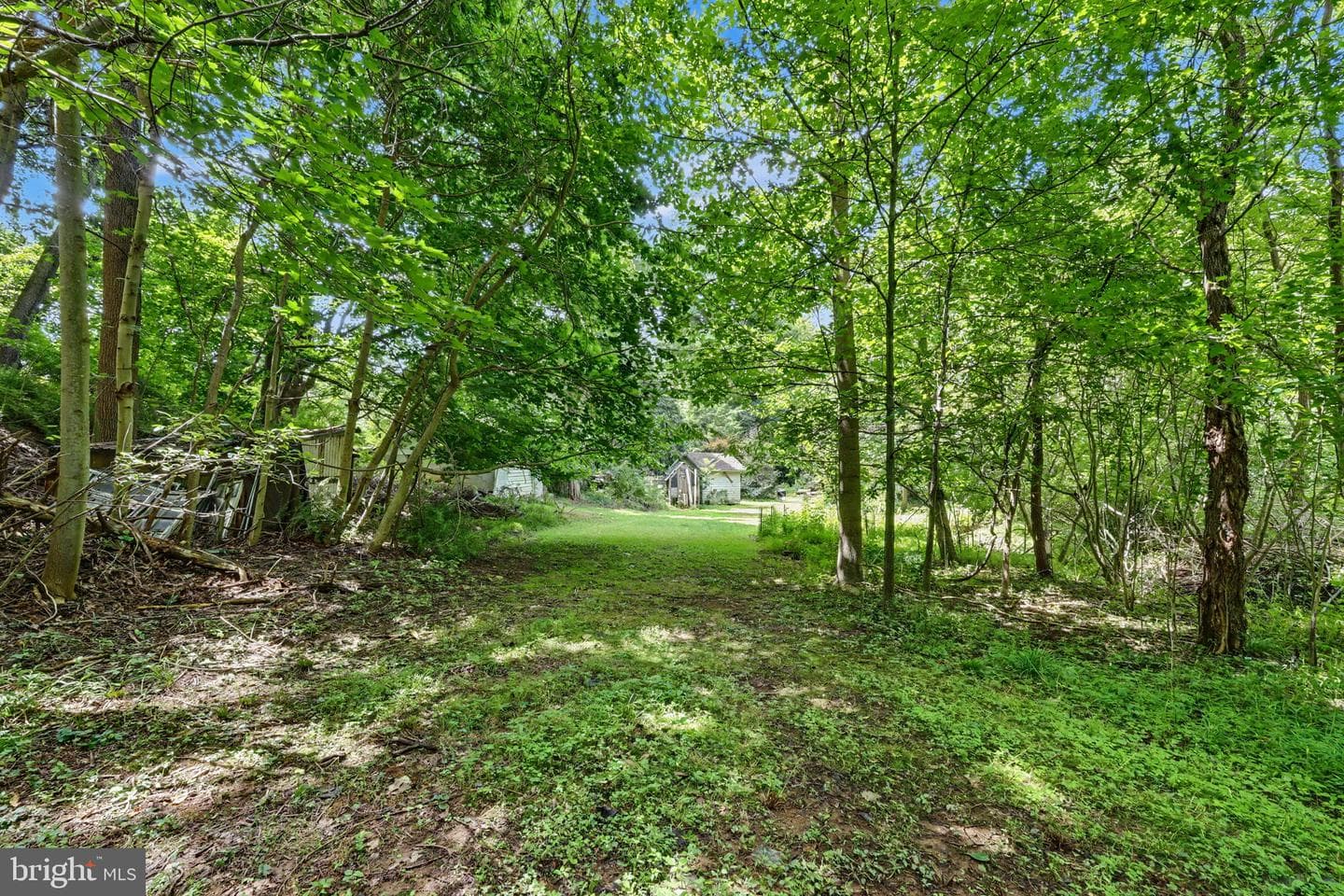 397 Angora Road photo 28
