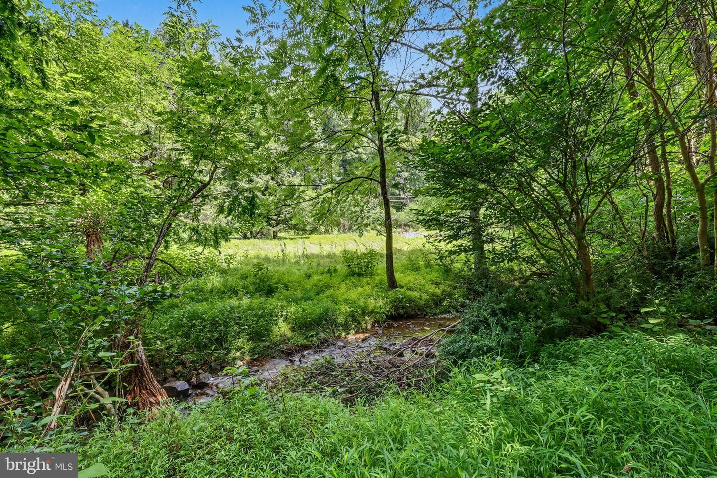 397 Angora Road photo 29