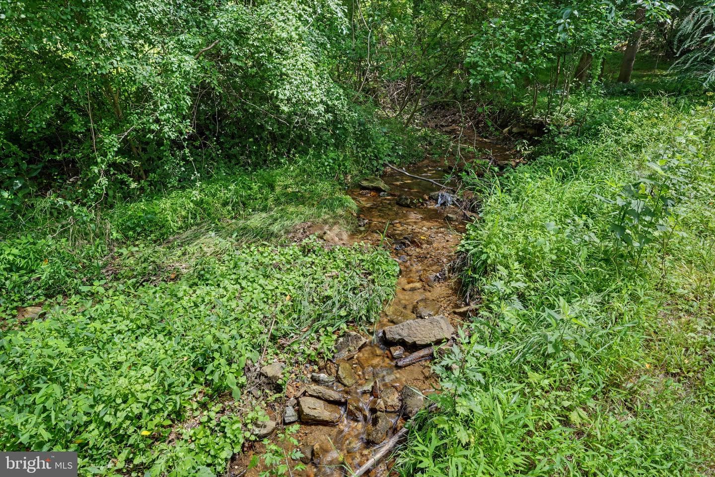 397 Angora Road photo 30