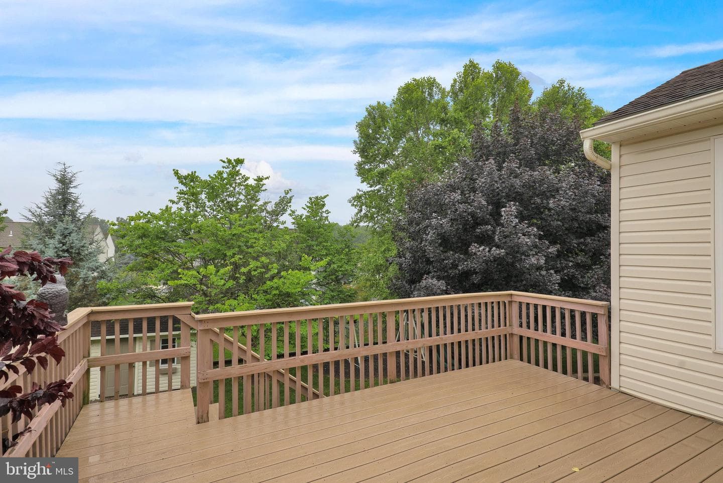359 Mountain Boulevard photo 12