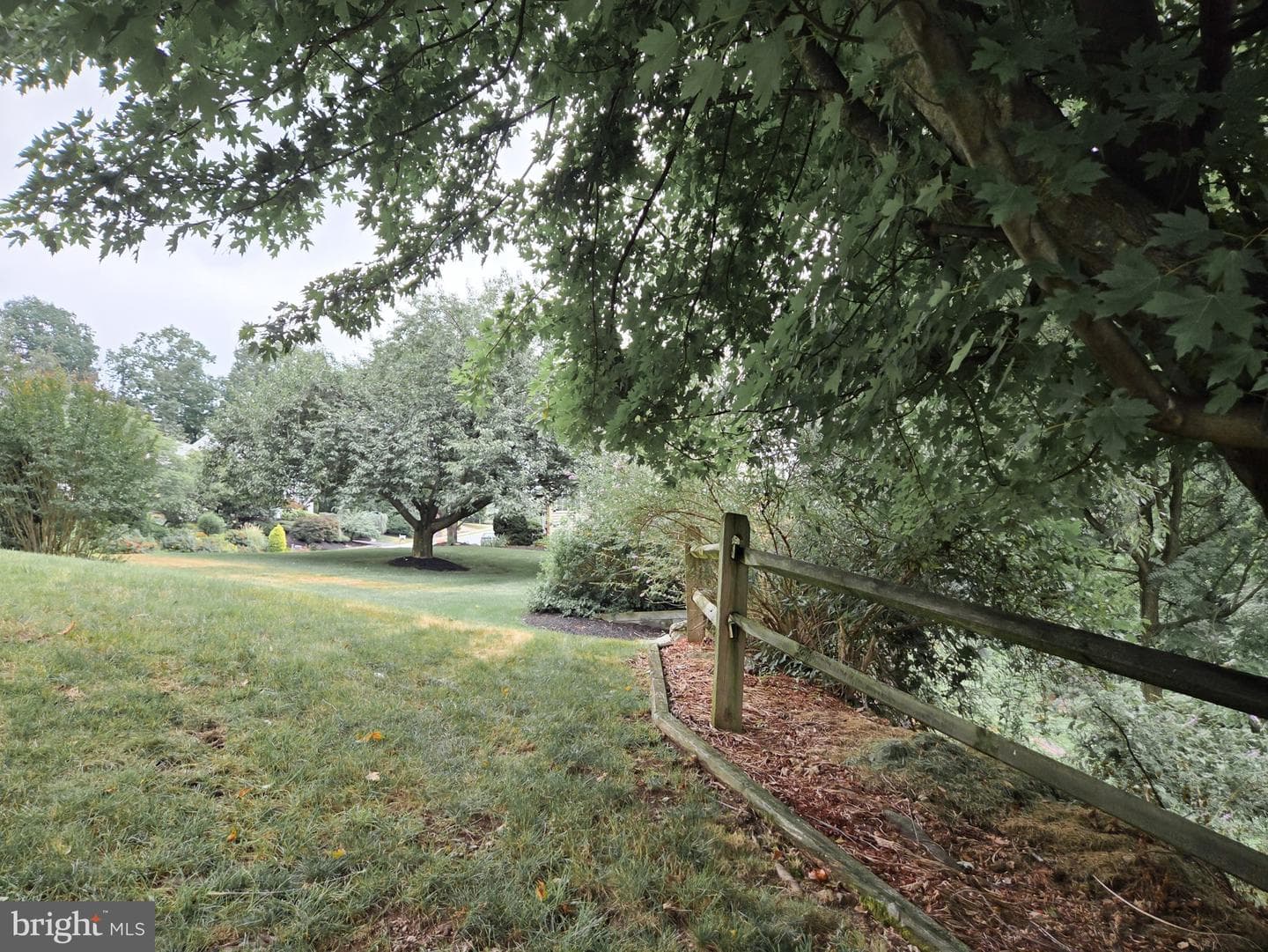808 Sycamore Road photo 55