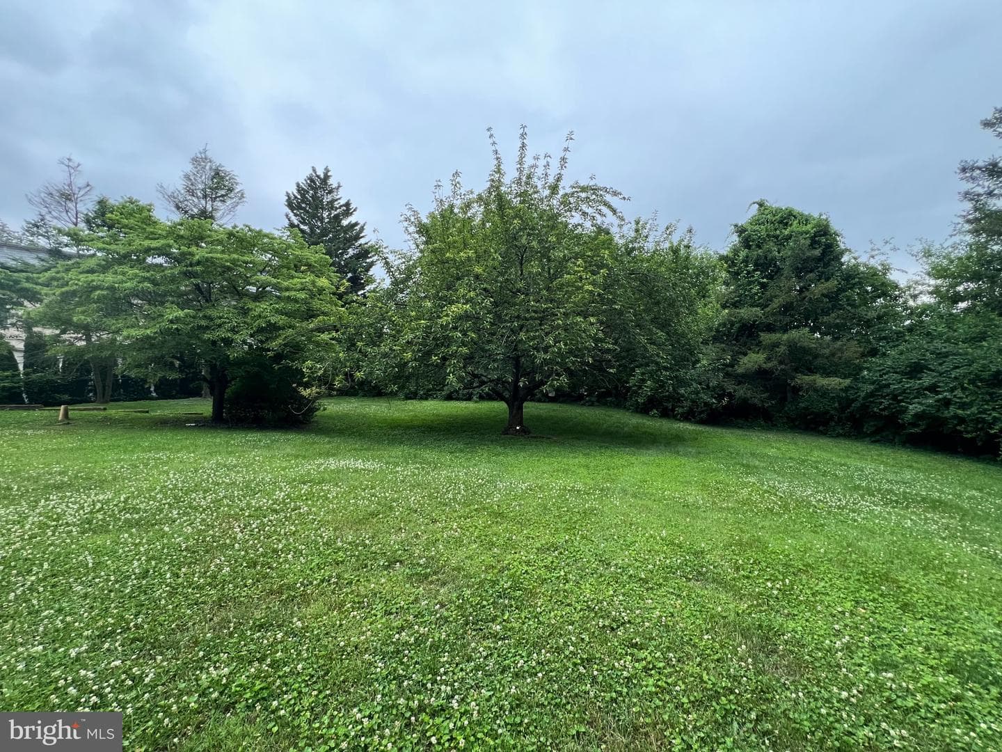 125 Grandview Boulevard photo 76
