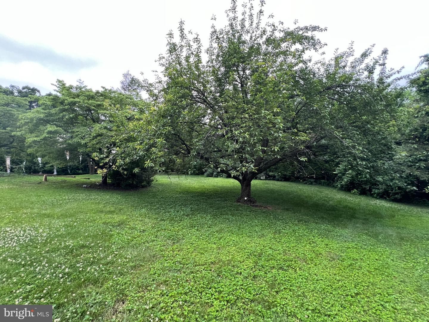 125 Grandview Boulevard photo 81