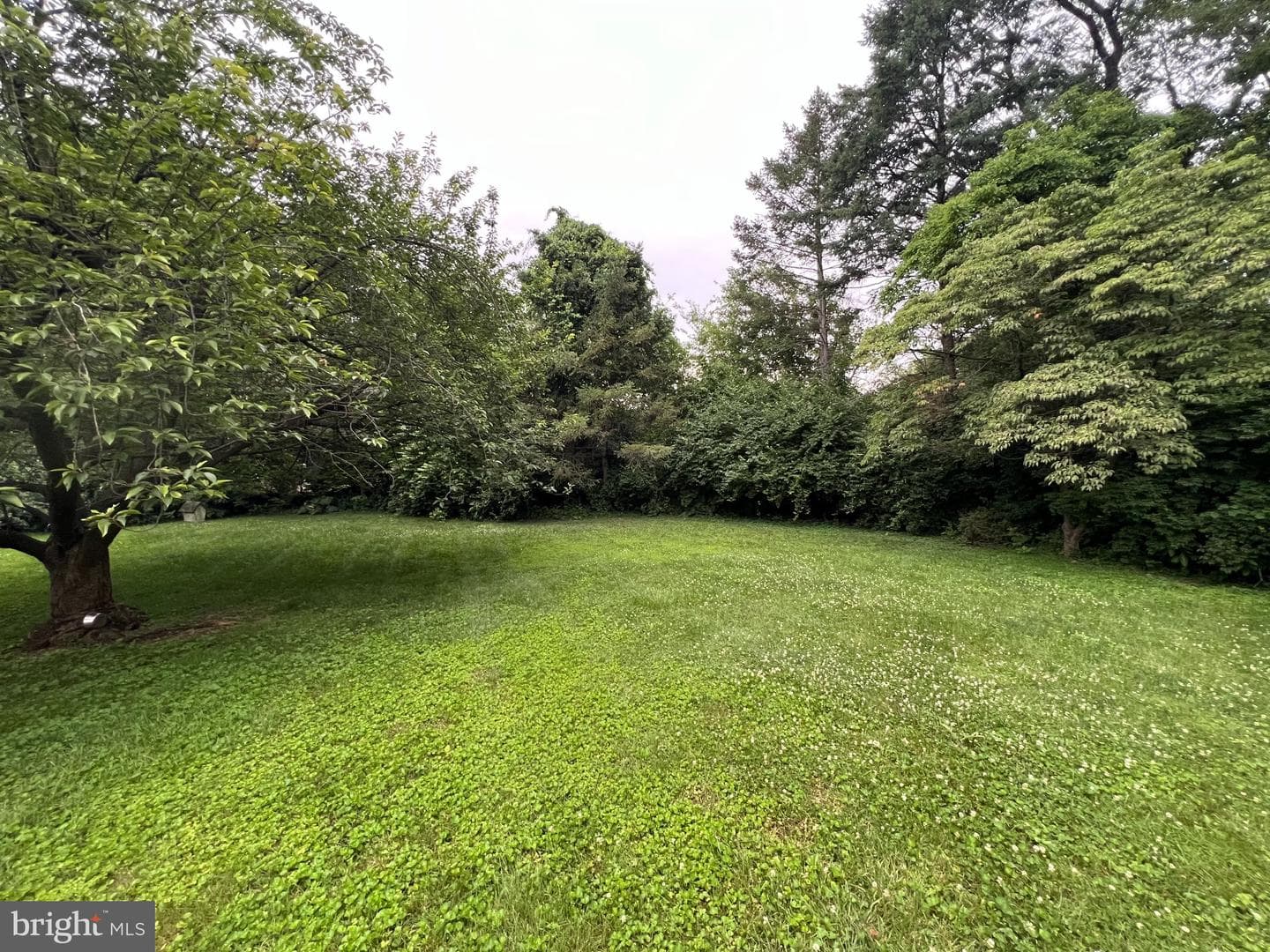 125 Grandview Boulevard photo 82
