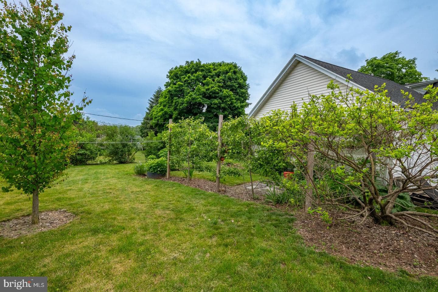337 Stevens Avenue photo 24