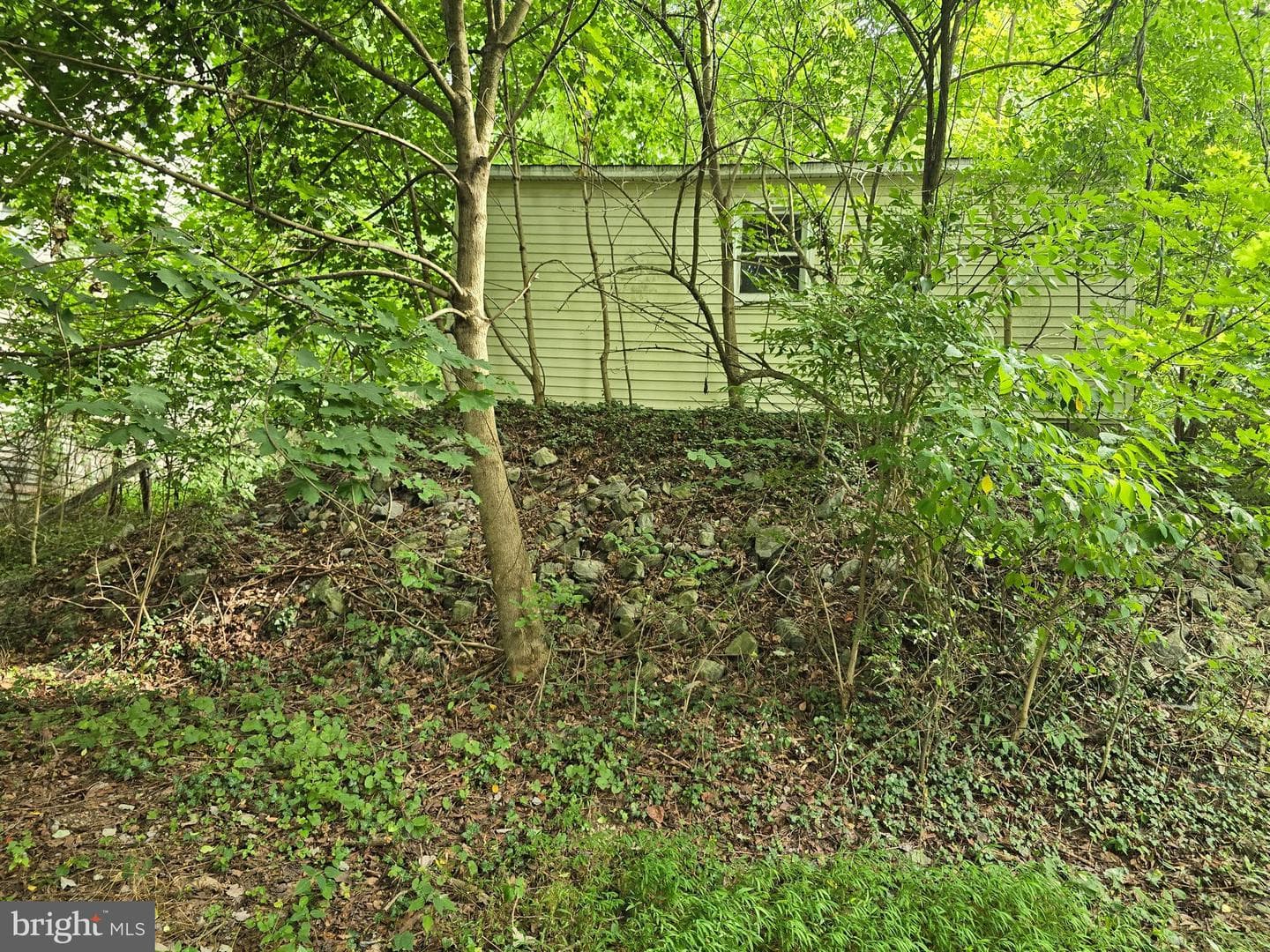 1021 Possum Lane photo 9