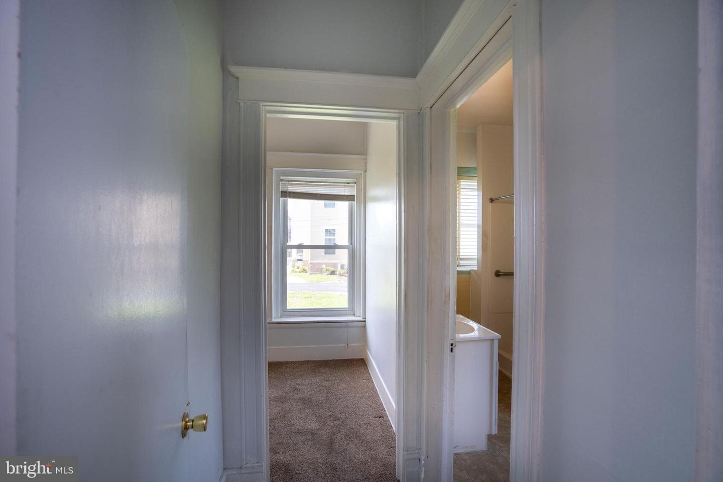 501 Walnut Street photo 46
