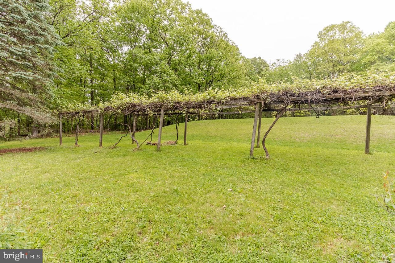 1834 Decker Hollow Road photo 11