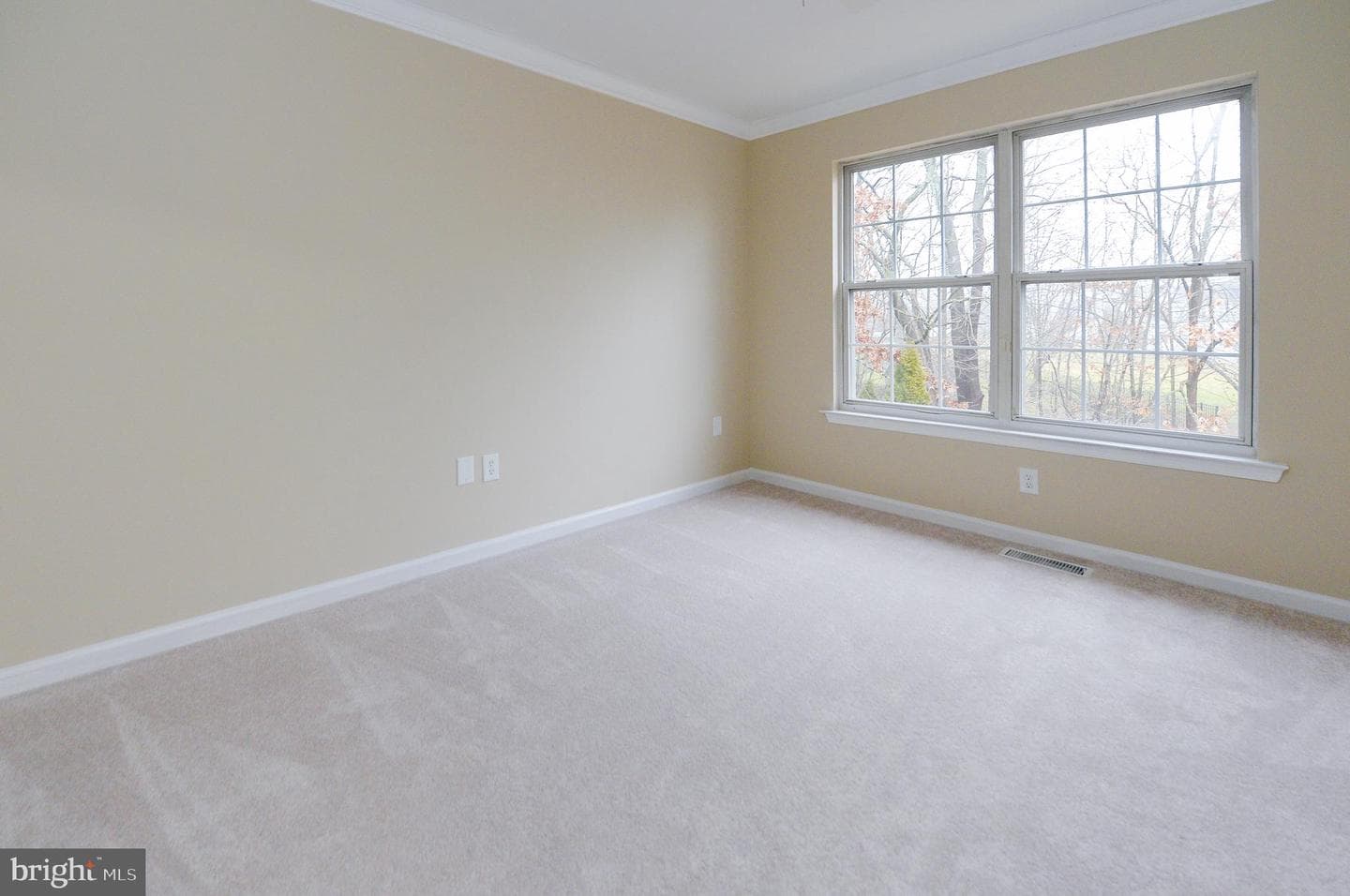 1150 Bridle Path Drive photo 23
