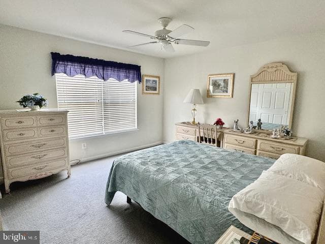 1212 Scott Place photo 18