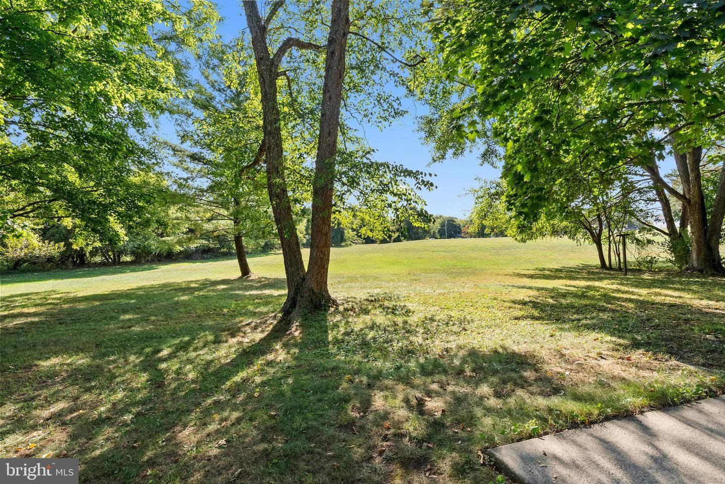 516 Taylor Avenue photo 28