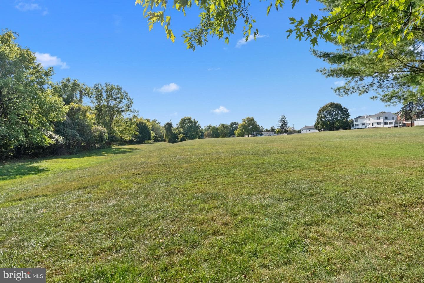 516 Taylor Avenue photo 30