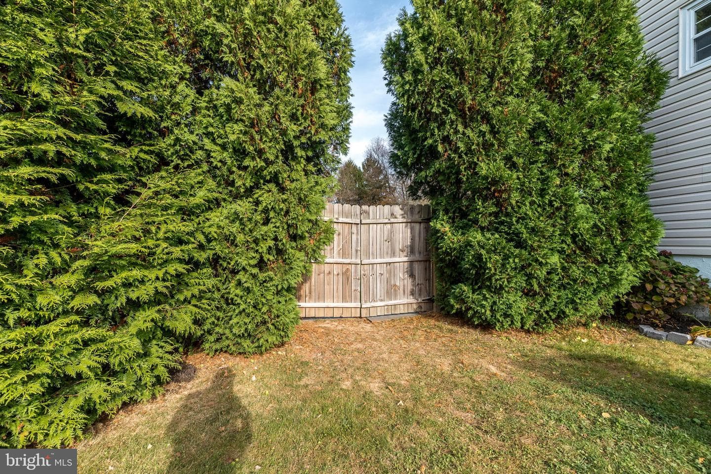 31 N Traymore Avenue photo 43