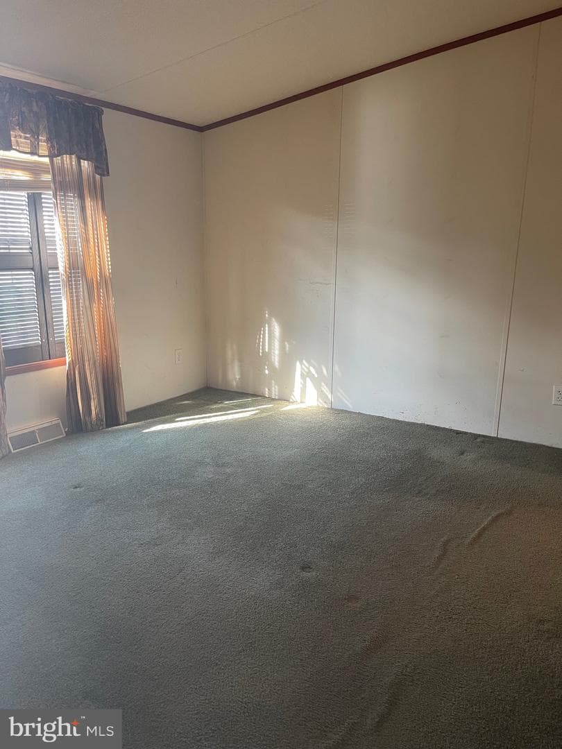 3405 Rose Avenue photo 4
