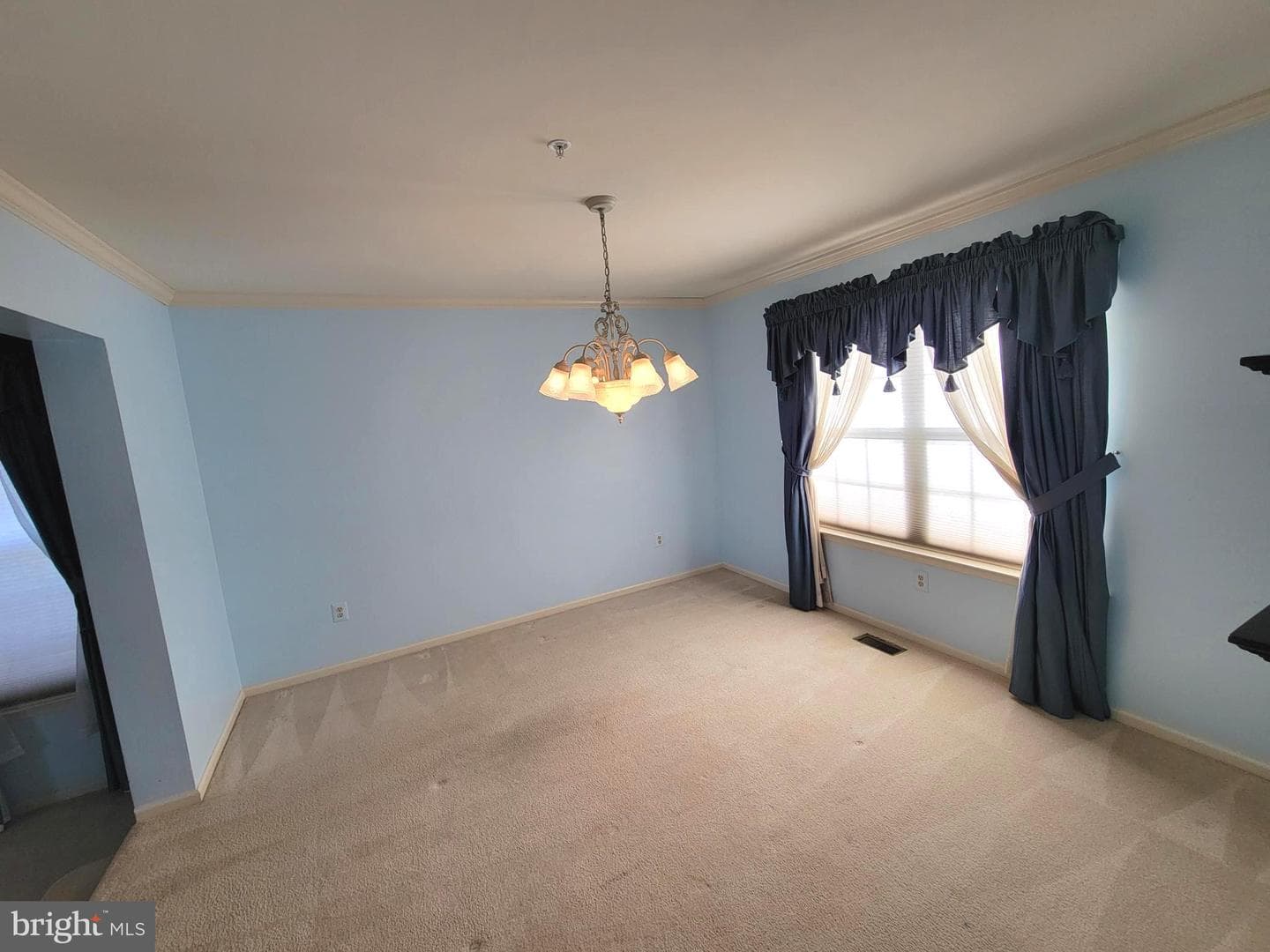 506 Daltry Court photo 9