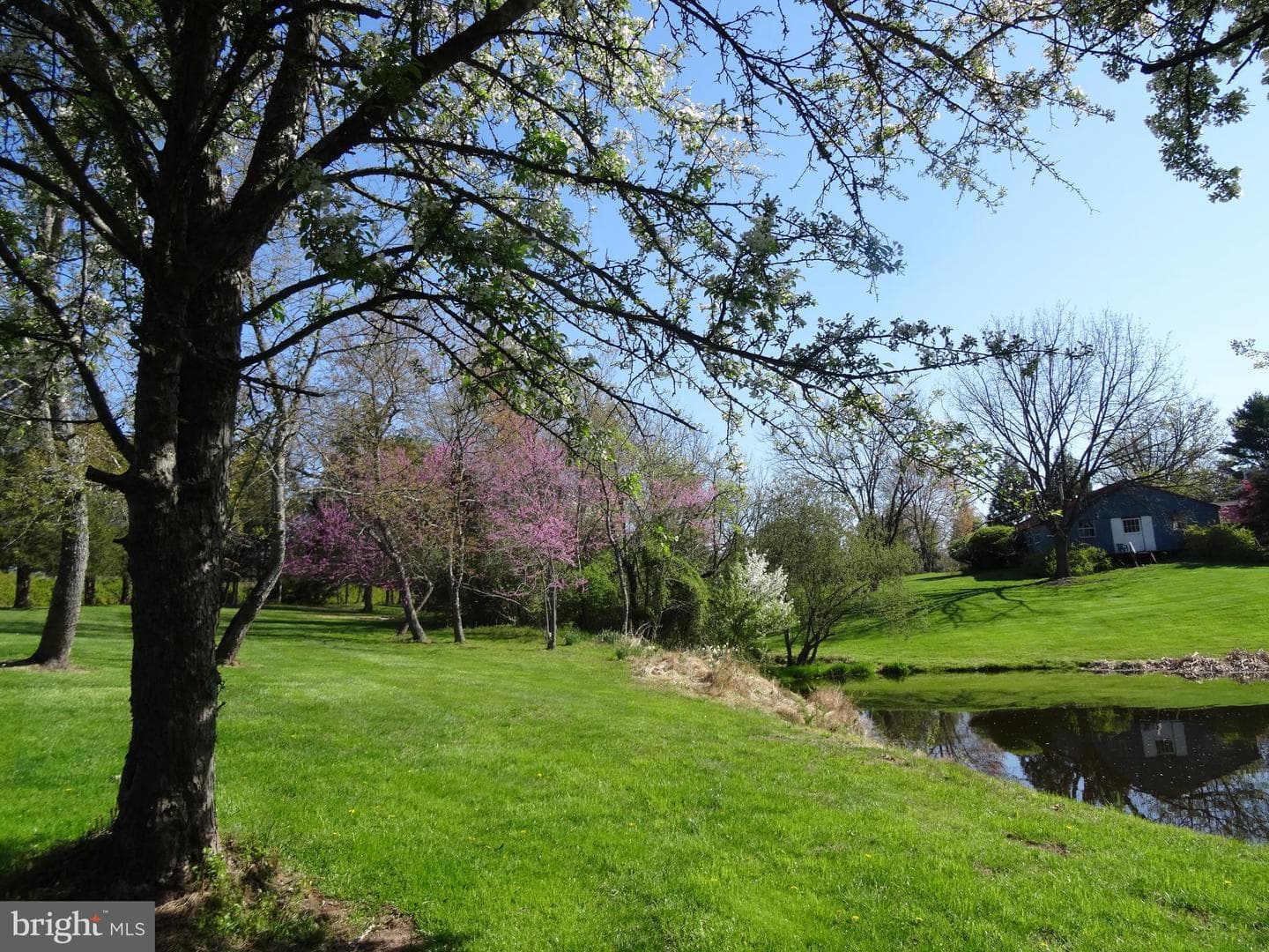 1 Beaver Run Road photo 41