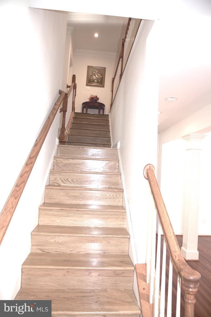 1801 Sycamore Drive photo 52
