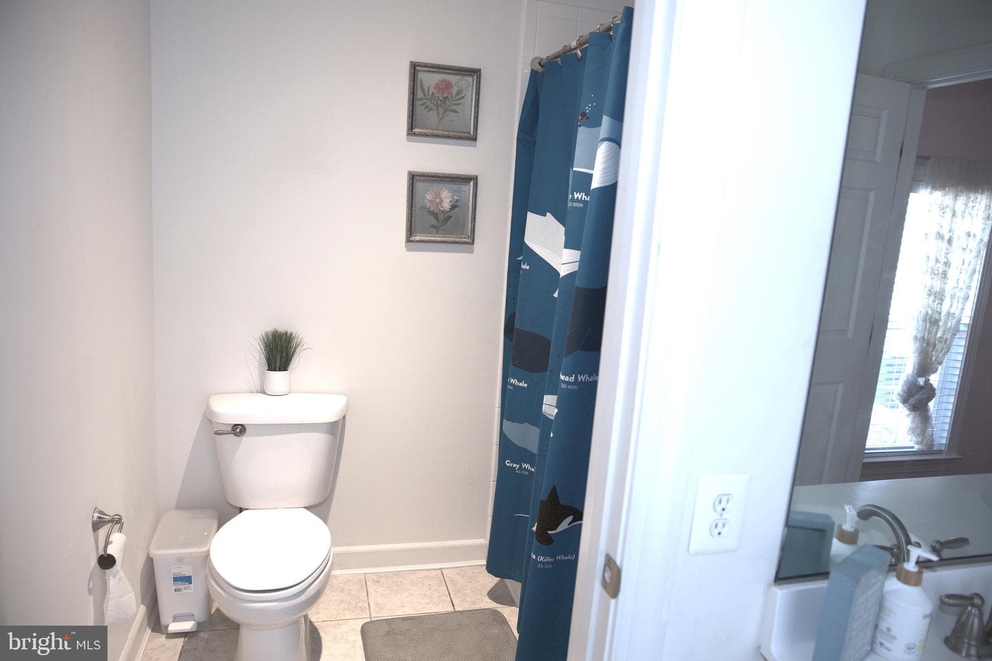 1801 Sycamore Drive photo 63