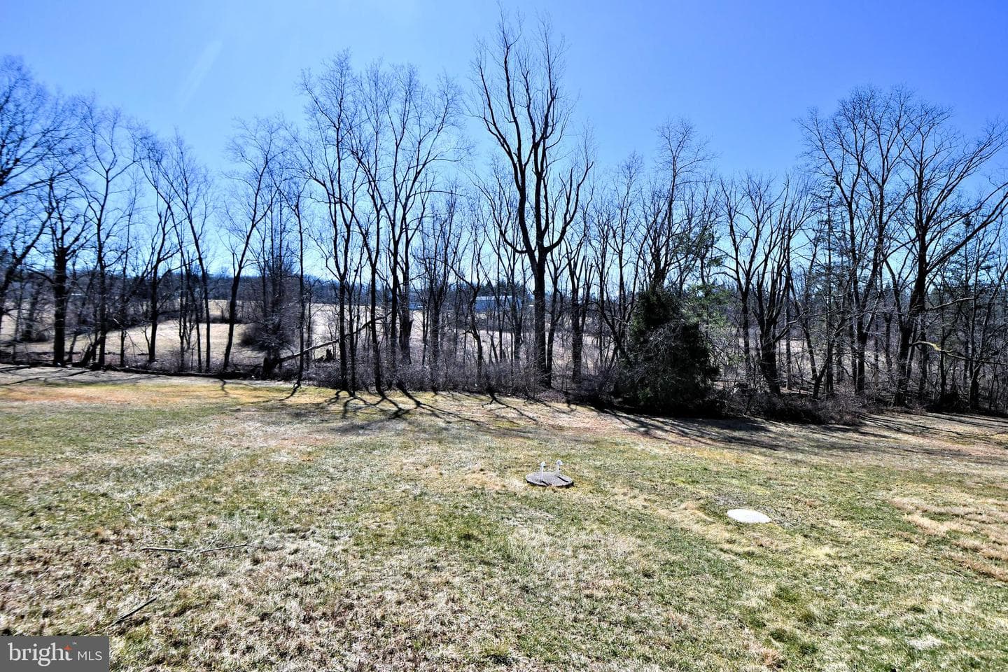 1486 Fairhill Road photo 15