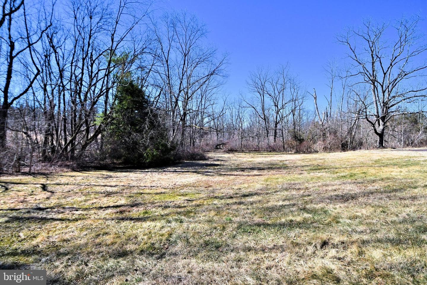 1486 Fairhill Road photo 16