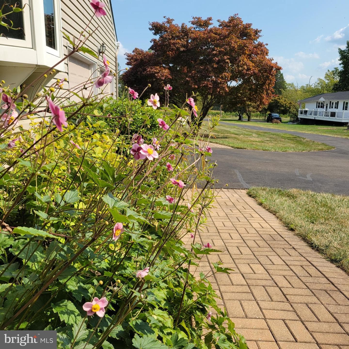 4902 Anderson Road photo 7